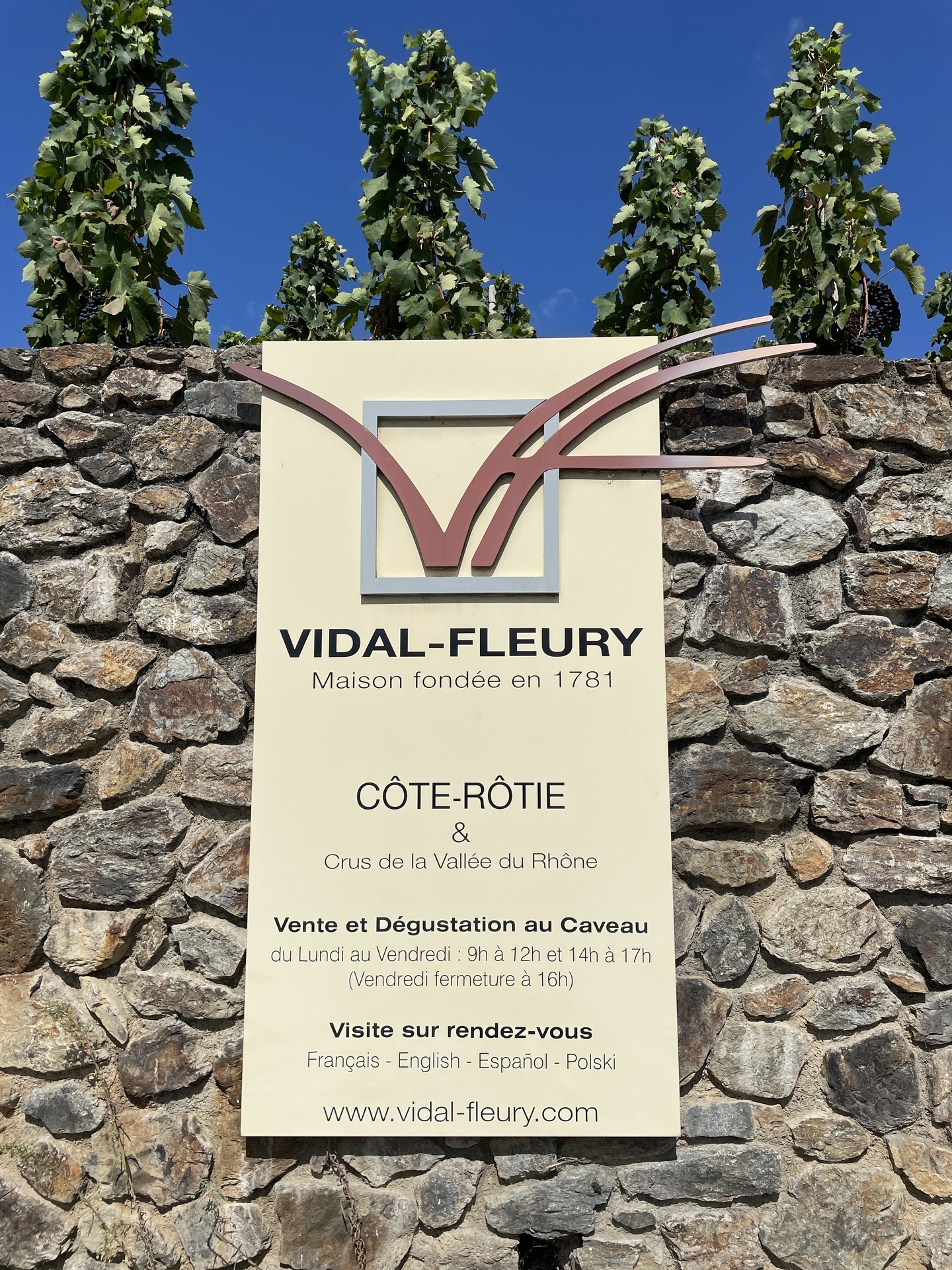 ２０２２年夏、フランスの旅 No.４ コート・デュ・ローヌ Vidal-Fleury